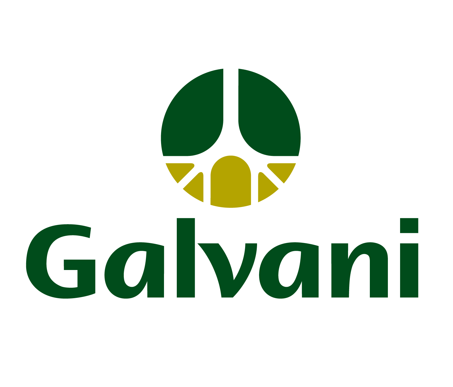 FOSNOR - FOSFATADOS DO NORTE-NORDESTE S/A (GALVANI)